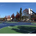 First Team legend playground Fixed Height Basketball Hoop View of Goal in Outdoor Court System Setup