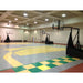 Indoor Arena view First Team Storm system on court in gym goal view for portable adjustable height basketball hoop